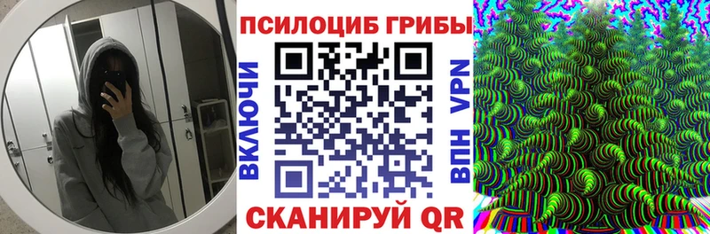 дарнет шоп  Чита  Псилоцибиновые грибы MAGIC MUSHROOMS 